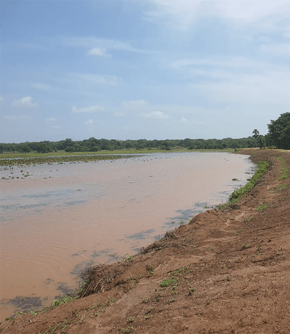 Rehabilitation of Pahala Angunochchiya Wewa